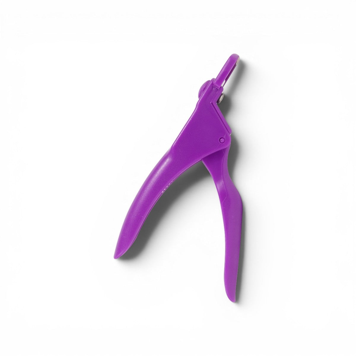 COLORFUL CORTA TIP Beautiful Purple
